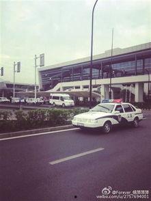 驾照考试科目二视频教程,视频教程精华解析